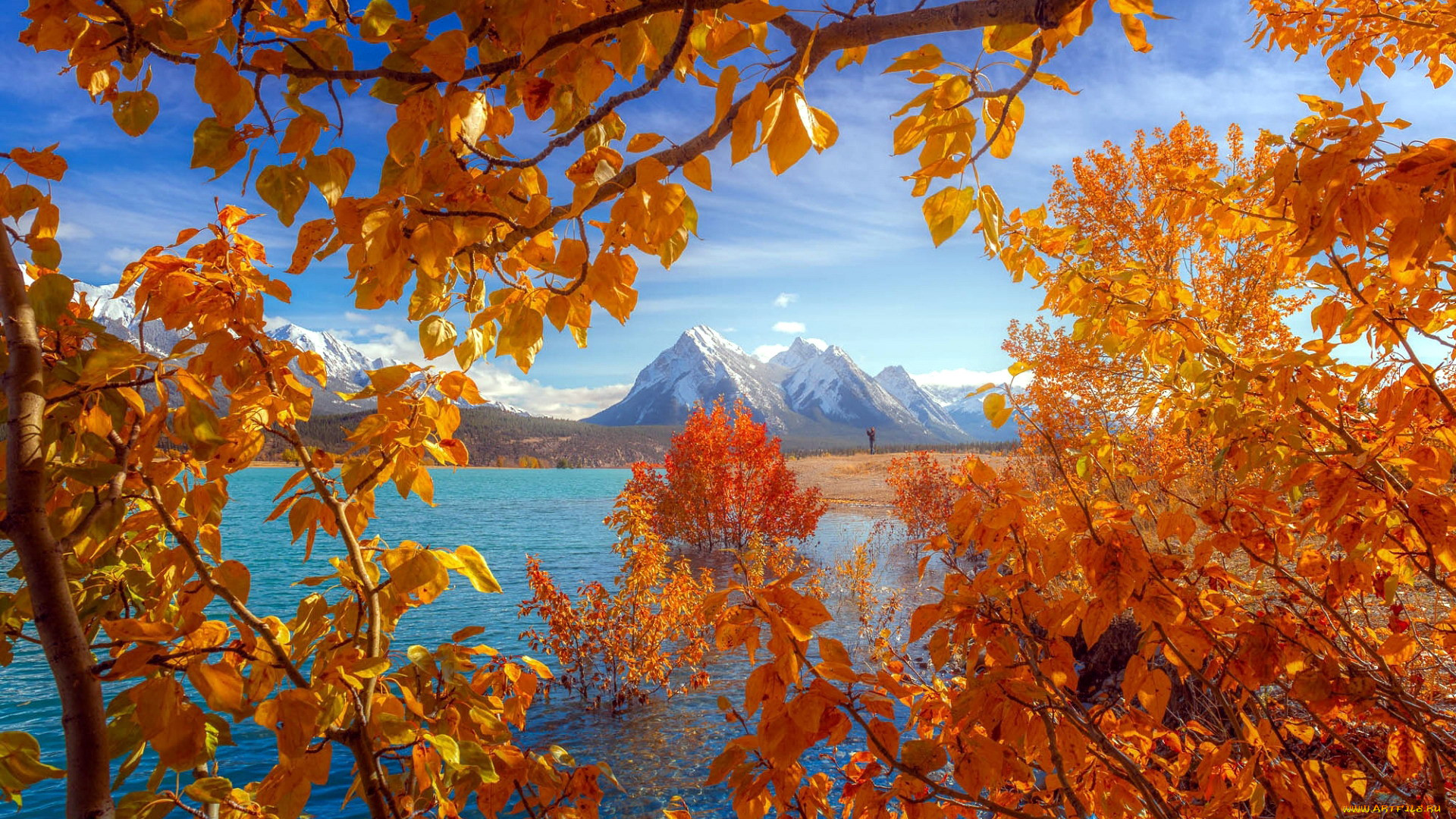 abraham lake, canadian rockies, alberta, , , , abraham, lake, canadian, rockies